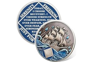 VITALWAY Braving The Storm 1 Year Sober Coin, Nautical NA Coin, Addiction Recovery One Year Sober Chip, Celebrating Recovery Anniversary Token, Narcotics Anonymous Sobriety Gifts for Men Women