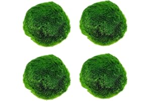 BELYPOKE 4PCS Aquarium Boules de Mousse Boules de Mousse Verte Naturelle Boule d’algues artificielles vivantes Plantes pour Aquarium Terrarium décorations d’Aquarium