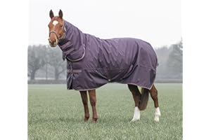 Shires Typhoon 100 Combo Turnout Rug - Black Cherry