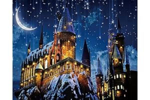 TISHIRON DIY Paint by Numbers Kit for Adults The Magic Castle Under The Moonlight Acrylic Watercolor Painting by Numbers for Living Room Bedroom Decor 16x20 Inch(40x50cm)