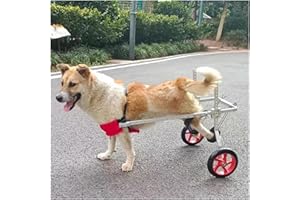 MOBYAT Fauteuil Roulant Chien Réglable Chariot/Chaise Roulante pour Chien pour Les Pattes Arrière, Léger Chaise Roulante pour Animaux pour La Marche des Pattes Arrières Handicapées, pour Grands Chiens (Size