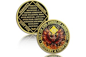 YRCKUDZKG Phoenix 7 Jahre Nüchternheit Münze Flamme Sieben Jahre Nüchternheit Chip NA Chips und Medaillon Narcotics Anonymous Chip AA Chip Recovery Jahrestag Token Nüchternheit Geschenke für Männer Frauen