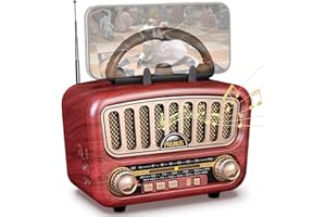PRUNUS J-180 Radio Portatile Vintage FM/AM/SW, Radio Bluetooth Portatile, Con supporto per telefono cellulare, Batteria Ricaricabile da 1800 mAh Potenziata, Supports TF Card/AUX/USB.