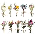 6 Mini Bouquets Fleurs Séchées Naturelles - DIY Déco Mariage Cadre Photo