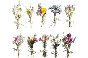 Nizirioo Set di 10 mazzi di fiore secchi naturale – Mini bouquet di fiore secchi naturale – per la casa, il giardino, le feste in ufficio