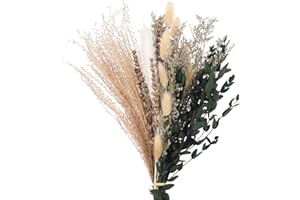 ALTcompluser Trockenblumen Deko Pampasgras Getrocknete Blumen Natürliche Dried Flowers Eukalyptus Deko Pflanzen Blumenstrauß Boho Pampas Deko für Wohnzimmer Home Hochzeit Vasen(Ca 22 Stück)