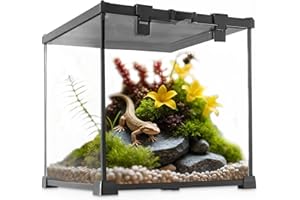 NEPTONION Mini Reptile Glass Terrarium Vivarium 12'' x 12'' x 12'' Full View Tank Small Amphibians Glass Habitat Cage with Feeding Slot & Box Lock Buckle