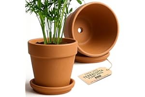 Green Thumbz Terracotta Plant Pots - 20cm x 2 Pack Large Terracotta Pots with Saucer and Drainage Hole - Flower Pots Outdoor or Indoor Use - Brown Clay Pot with Tray