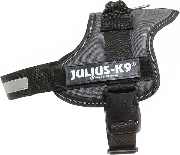 Julius-K9 Pettorina K9, Antracite, L/1 - 1