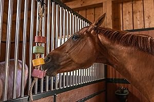 Horse Treats – IMIMA Lolly-Lick NO STRESS 2-Pack with Chamomile & Lavender – Calming Natural Horse Treats for Box, Paddock, Stall – Includes FREE Hanging Rope