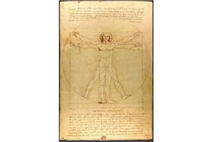 Grupo Erik: Poster L'Homme Vitruviano de Leonardo | Art Classique Mural, 61 x 91,5 cm, Papier Brillant et Encadré, Homme de Vitruve