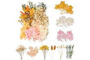 LAUMOE Getrocknete Blumen, Trockenblumen, Trockenblumen Zum Basteln Trockenblumen Set Mini Trockenblumen für Startseite Kunst Basteln Dekoration (Gelb)