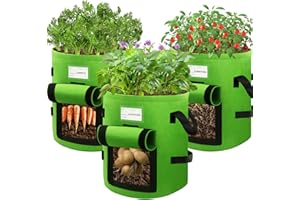 BEGKYA Potato Grow Bags, Plant Growing Fabric Pots Set for Carrots Tomatoes and Other Vegetables, 10 Gallon 3 Pack Potato Planter Bags Outdoor with Gardening Gloves (Green)