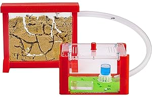 AntHouse - Fourmilière Naturelle en Sable | Kit Basic 3D (Sandwich + Caisse de Fourrage) Rouge | Fourmis Incluses