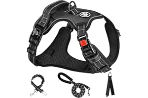 NESTROAD Pettorina ad h per Cane Antifuga Taglia Media Nero, Imbracatura Cane Anti Tiro per Cani con Collo 33~43CM Petto 43~64CM, Cintura Sicurezza Cani Auto, Accessori Cani Essenziali