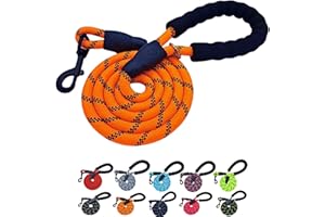 DogCatz Strong Rope Dog Lead, Medium Large Dogs, Soft Padded Handle, Highly Reflective, Heavy Duty 5 Foot Leads (Orange)