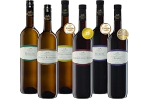 ‎OBERKIRCHER WINZER Oberkircher Winzer Wein Probierpaket - VINUM NOBILE - Riesling, Grauburgunder, Chardonnay, Spätburgunder, Merlot, Syrah - Premium Weißweine & Rotweine trocken aus Baden (6 x 0,75l)