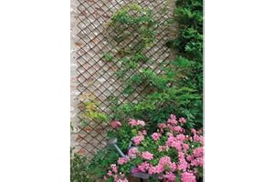 Desconocido Weide Willow 170262 Treillage Bois