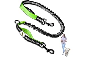 Hundefreund Laisse De Chien Extensible Vert | Laisse Elastique pour La Course/Vélo/Marche | Laisse De Remplacement avec 2 Boucles et Absorption des Chocs