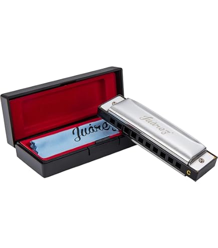 JUAREZ 24 Gaten JRH24CHBL Harmonica Messing Riet Plaat Aluminium Cover Chromatische Toren Mond Orgel Met Case Blauw 3404117059