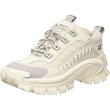 cat intruder pirate black