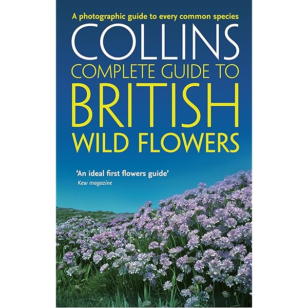 【中古】 Britain’s Wild Flowers: A Treasury of Traditions, Superstitions, Remedies and Literature/NATL TRUST/Rosamond Richardson Wild Flowers of Britain - A Treasury of Traditions