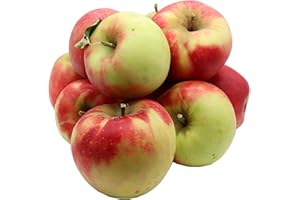 ‎BLEICHHOF Bleichhof Äpfel Elstar - saftige fein-säuerliche Sorte, aus der Pfalz (5kg) Neue Ernte