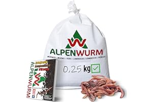 ALPENWURM 0,25kg Kompostwürmer (min. 250Stk.) | Regenwürmer, Gartenwürmer, Eisenia Mix lebend für Kompost, Garten, Wurmkomposter, Wurmkiste, Hochbeet