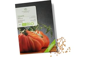 GROWGREENS Semi di pomodoro biologici (Cuore di bue) - Semi di pomodoro da coltivare in giardino, sul balcone e sul orto rialzato