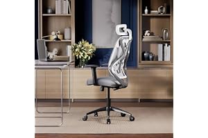 Wakefit Gravita Ergonomic Office Chair for Work | 3 Year Warranty | Single Lock and Recline | Soft Armrest with 3 Dimension adjustability| Strong Nylon Base | 8+ Hours of Comfort| White and Grey