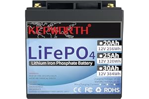 FLLEEYPOWER 30Ah 12V Batería de Litio Solar Batería LiFePO4 Ciclo Profundo 4000 Veces Recargable de Litio con BMS para Sistema de Alarma, RV, Stock de Energía Solar,Aplicación Fuera de la Red