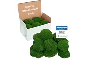 MIA MILANO Kugelmoos konserviert | Echtes Bollenmoos für Moosbilder | Haltbares Moos zum Basteln | Wetterfestes naturgrünes Islandmoos (250g)