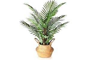 Kazeila Palma Artificiale 70cm Piante Artificiali Grandi da Interno e Esterno Piantina Finta Decorativa per Casa Balconi Ufficio Moderna Decorazione (1Pack)