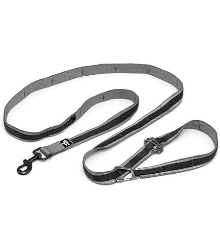 Ceinture Mains Libres Kurgo Pour Course Avec Chien – Réfléchissante, Réglable, Bouteille D'Eau Incluse – Idéal Randonnée