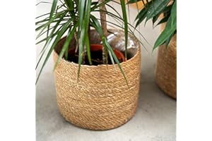 ‎DARO DEKO DARO DEKO Seegras Korb rund Natur Ø 27 x 24 mit Einsatz Blumentopf geflochten Aufbewahrungskorb Über-Topf Blumenkorb