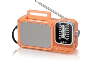 PADWA LIFESTYLE Radio Portable AM/FM, Petit Poste Radio a Pile avec Rechargeable Batterie 2400mAh, Excellente Réception Transistor Radio Ave Bluetooth/Lampe de Lecture/Prise Casque 3,5 mm/TF