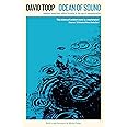 Ocean of Sound: Ambient sound and radical listening in the age of communication (Serpent's Tail Classics)