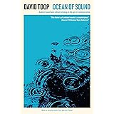 Ocean of Sound: Ambient sound and radical listening in the age of communication (Serpent's Tail Classics)