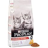 Purina One Junior De 1 A 12 Mois Au Poulet Et Aux Cereales Completes 1 5 Kg Croquettes Pour Chaton Pack De 6 Amazon Fr Animalerie