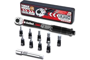 Aurlloct Llave Dinamométrica 1/4" 5-25 Nm, Llave Dinamométrica Set para Bicicleta, Moto, Coche, 11 piezas Negro