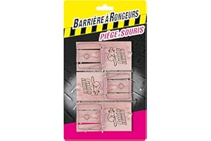 BARRIERE A RONGEURS PiÃšges à Souris, avec crochet, Pour tout type d'appât, 3 piÃšges, BARTAPSOU3, Marron