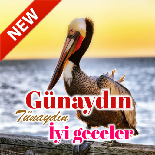 good morning in turkish