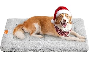 Feandrea Tapis Chien, Couverture pour Animaux, pour Chat, 105 x 70 cm, Taille XL, Lavable en Machine, Adapté au Sèche-Linge, Antidérapant, Gris Clair PPB020G01