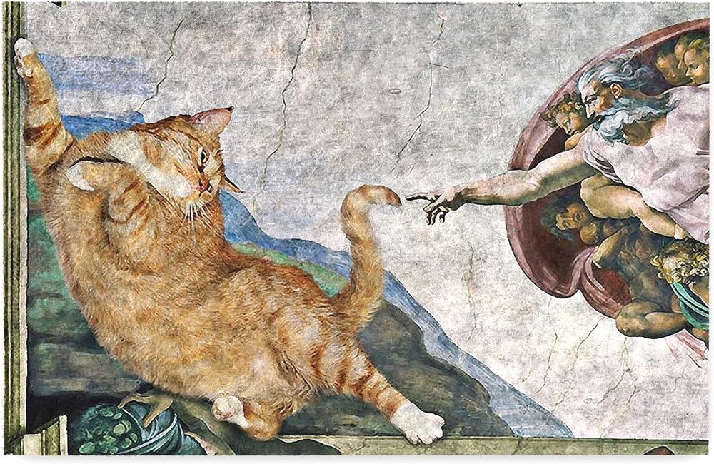 Monnhein Kedi Köpek Komik Tasarımlı Dekoratif Kapı önü Paspas, Dış Mekan/Ev İçi/Banyo/Mutfak/Yatak Odası/Giriş Paspasları (Kedinin Yaratılışı, 45x70)
