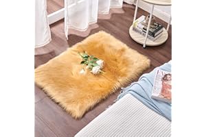 Cumay Dywan ze sztucznej skóry jagnięcej (60 x 90 cm) – nadaje się do salonu, puszyste, długie włosy, wygląd futra, przytulny dywanik do łóżka, na sofę, w kolorze brązowym, 60 x 90 cm)