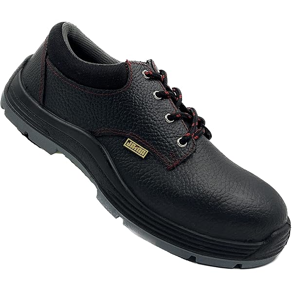 Buy JAMA JS 73 Phoenix Low Ankle Safety Shoes,Black (Numeric_6) at