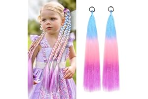 JIAMEISI Rainbow Ponytail Extensions With Hair Tie 2 Packs 50g/Pack Coloured Hair Extensions for Braiding 26 inch Colorful Ombre Mermaid Pony Tail Synthetic Hair Extensions for Girl Women S32