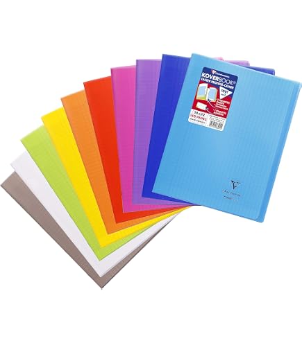 Clairefontaine 399341C Un Cahier Brochure Cousu Fil Mimesys Incolore - 24x32 cm - 192 Pages