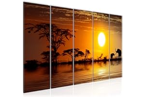 Runa Art Quadro Africa Elefante Stampa D'Arte Tela Non Tessuta Decorazione Murale Soggiorno Camera Da Letto 000556a