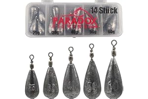 Paradox Fishing lot Plomb Peche 5g à150g I 10g 15g 20g 25g 30g 40g 50g 60g 80g 100g 120g 150g I sinkers Carpe Plomb